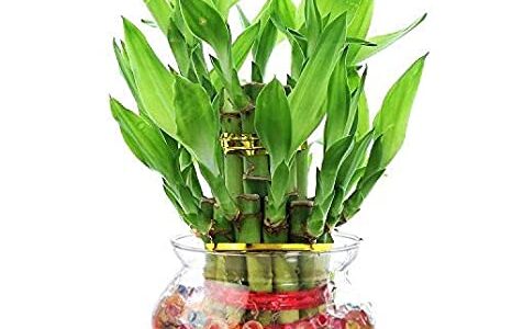 Racikan Herbal Berikut Ini Dapat Mengatasi Rambut Rontok