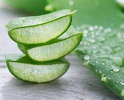 Beberapa Bahan Alami Yang Bisa Menjadi Obat Pertolongan Pertama